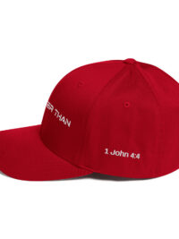 Flexfit Cap I - Image 38